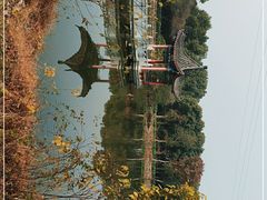 -青龙山国家森林公园