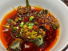 -铁公鸡·四川料理(天环广场店)
