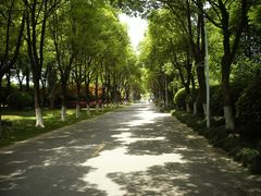 -上海鲜花港