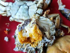 -好伦哥(温都水城店)