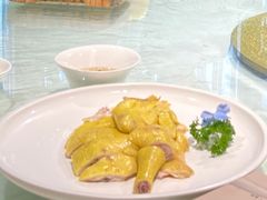 白切鸡-大海湾酒楼(人南店)