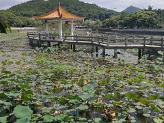 -红山村