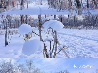 去纯净的雪山采一朵雪蘑菇水塔山攻略