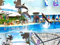 -海合安天津极地海洋公园
