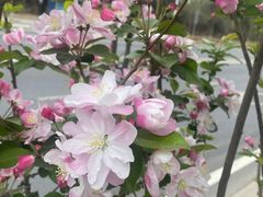 -北京大学(昌平校区)