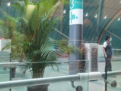 -龙阳路磁悬浮列车总站-停车场