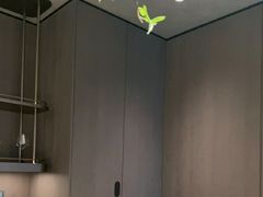 -喜湘宴·精致湖南菜(和平西桥店)