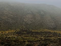 -扁都口生态休闲旅游区