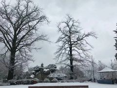 -哈尔滨热雪奇迹