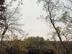 -西安唐皇城墙含光门遗址博物馆