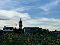 -云禾壹海景庄园餐厅