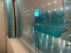 -龙阳路磁悬浮列车总站-停车场