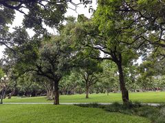 -荔枝公园(福田区)