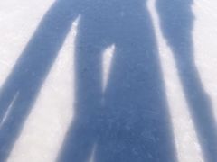 -群力丁香公园