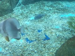 -波塞冬旅游度假区