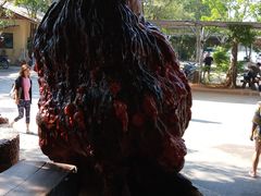 -绿光森林餐厅