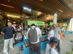 -瑞虹新天地月亮湾