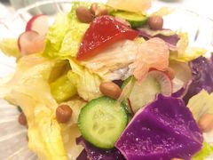 田园大拌菜-九头鸟酒家(四道口店)