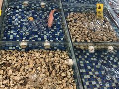 -晶莹品鲜.顺德鱼生.特色桑拿菜