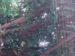 -上海市龙华烈士陵园