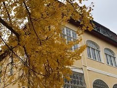 -Rabbit Cafe私房西餐甜点咖啡(栖霞路店)