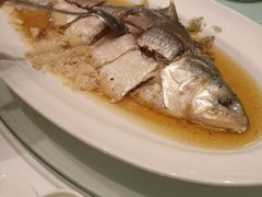 -福1039(愚园路店)