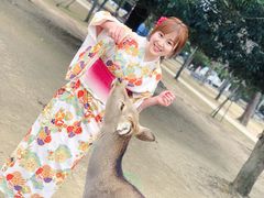 -枫雅和服体验(奈良店)
