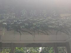 -西湖外事游船(花港观鱼码头)