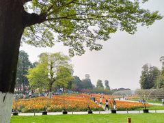 -秀丽东方