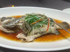 -骏莱海鲜鱼港(五角场店)
