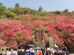 -木兰云雾山