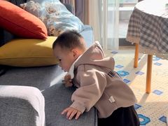 -长安先导国际创新人才交流中心