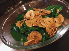 -樱の花亭日本料理店