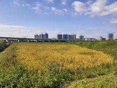 -光明小镇欢乐田园