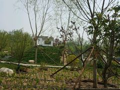 -武清南湖绿博园