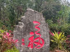 -七仙岭温泉国家森林公园