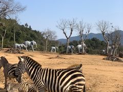 -杭州野生动物世界