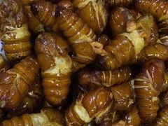 -老地方农家菜(昌黎一店)