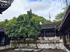 -阳明祠