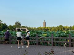-西海子公园