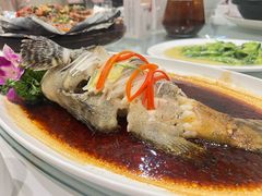 清蒸老虎斑-小贝壳酒楼(经九路店)