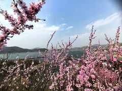 -太阳宫公园