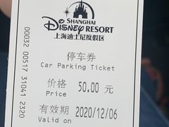 -迪士尼乐园停车场