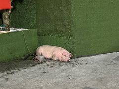 -竹涧府