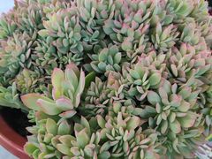 -沈阳国际会展中心管理有限公司