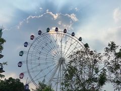 -花博汇(知音花月夜)
