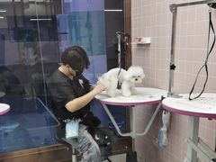 -FAELING PETS美天灵宠物(富力广场店)