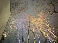 -星巴克(杭州运河上街店)