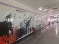 -上海动物园(地铁站)