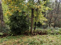 -普芬比利蒸汽火车